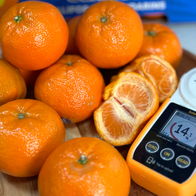 미국산 밀감 고당도 감귤 만다린 오렌지 만다린귤