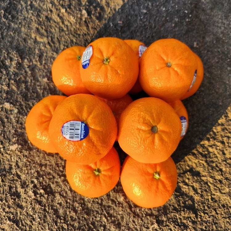 미국산 밀감 고당도 감귤 만다린 오렌지 만다린귤