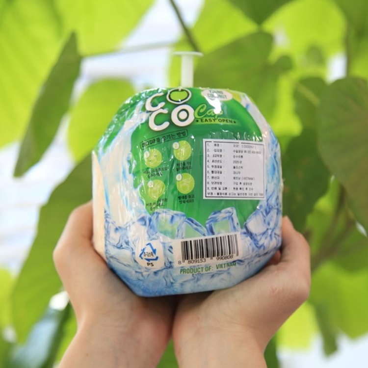 베트남 영코코넛 열대과일 생코코넛