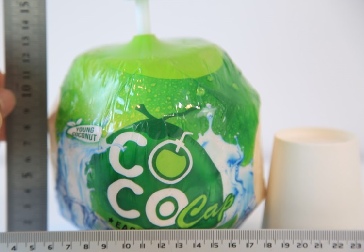 베트남 영코코넛 열대과일 생코코넛