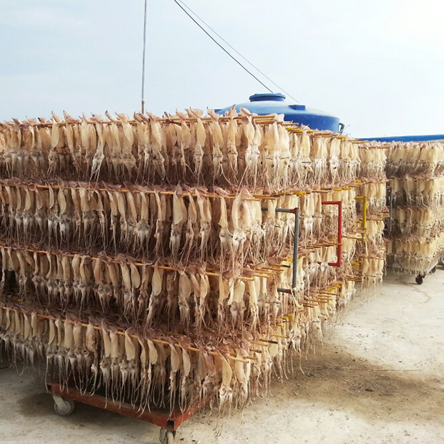 포항 동해 원양산 피데기 반건조오징어 1.2kg 5마리