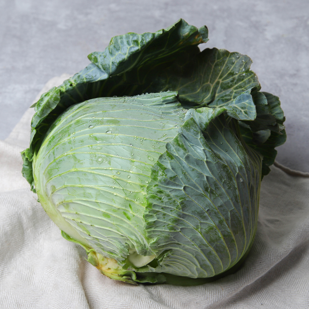국산 양배추 1통
