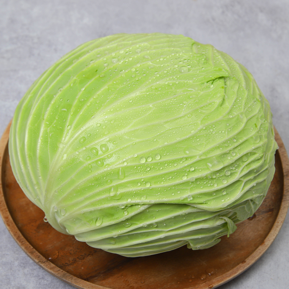 국산 양배추 1통