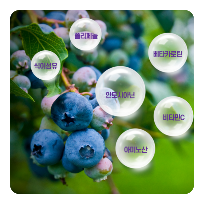 국내산 냉동블루베리 무농약 생 블루베리 1kg