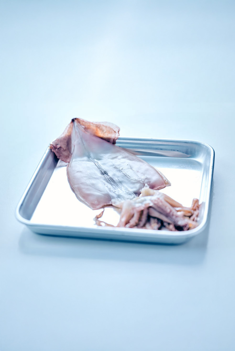 반건조 오징어 (2미/250g)