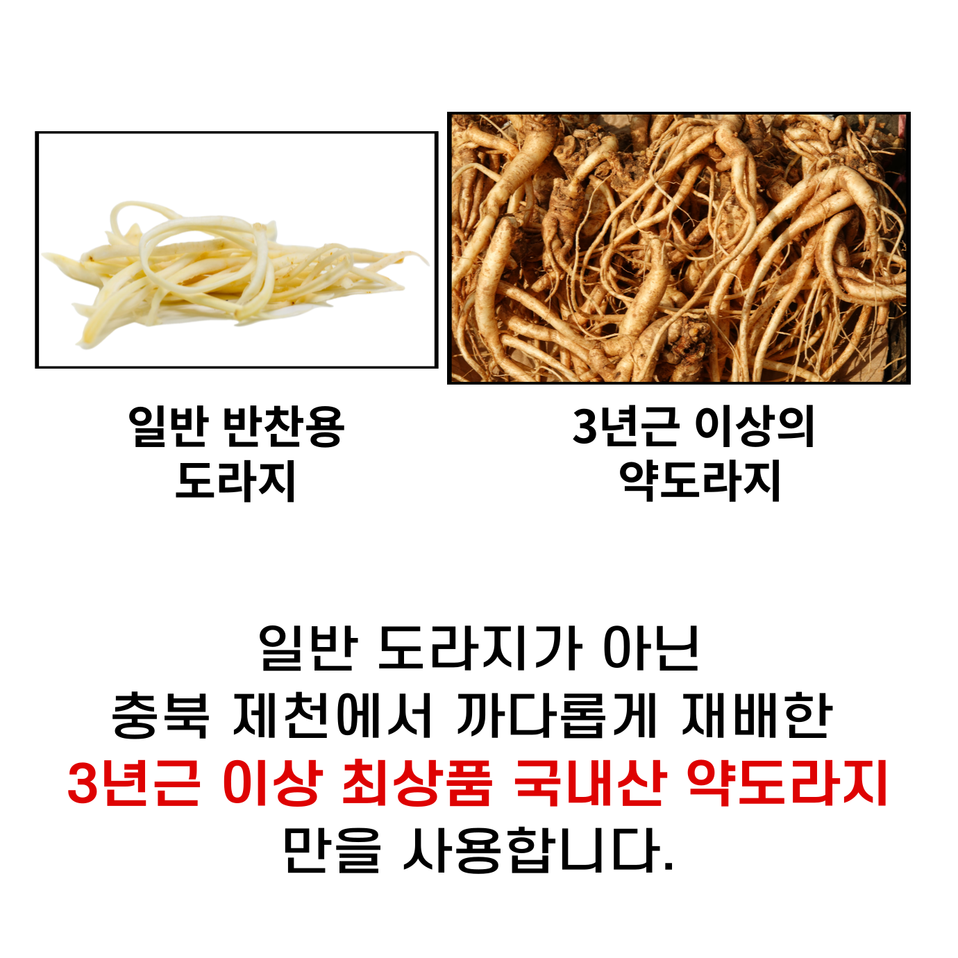 청원담 국산 무설탕 약도라지 은행 도라지청 500ml. 1개