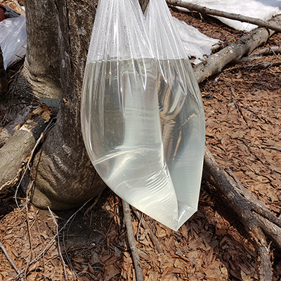 울릉도 우산 고로쇠 1.5L 6병