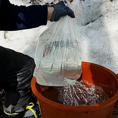 울릉도 우산 고로쇠 1.5L 6병