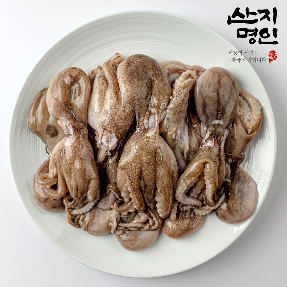 [산지명인] 충남 태안 알배기 활 주꾸미 1kg 10미 내외 쭈꾸미 당일조업 당일발송