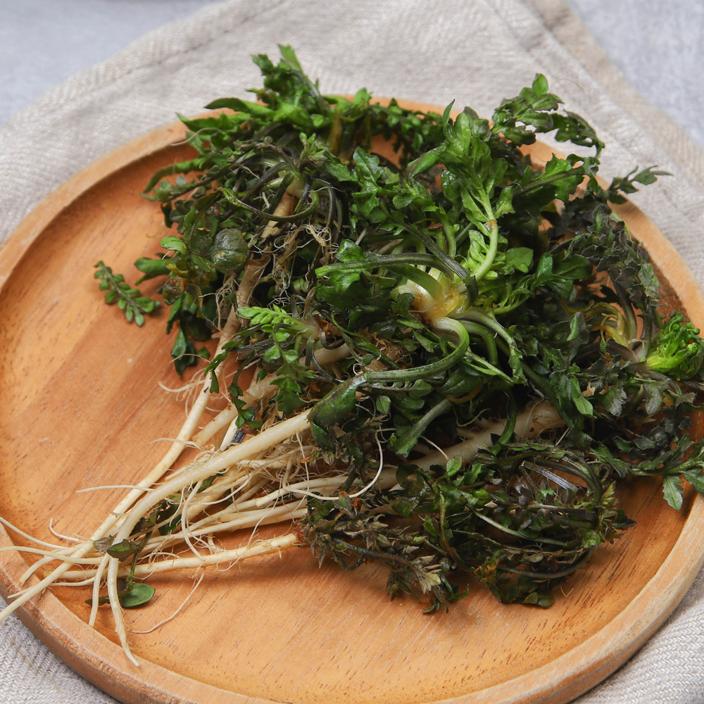 세척 냉이 노지 냉이 나물 500g 1kg