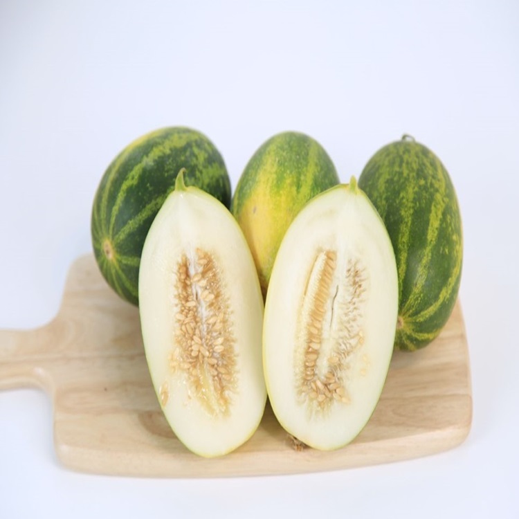농협판매 고령 개구리참외 파파야 멜론 1kg 2kg 3kg 5kg 대표이미지 섬네일