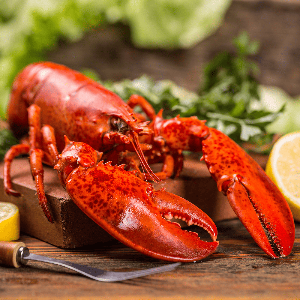 수산서원 호텔납품 캐나다 현지 급냉 프리미엄 자숙랍스터 (마리당 450~500g) 홈파티팩 대표이미지 섬네일