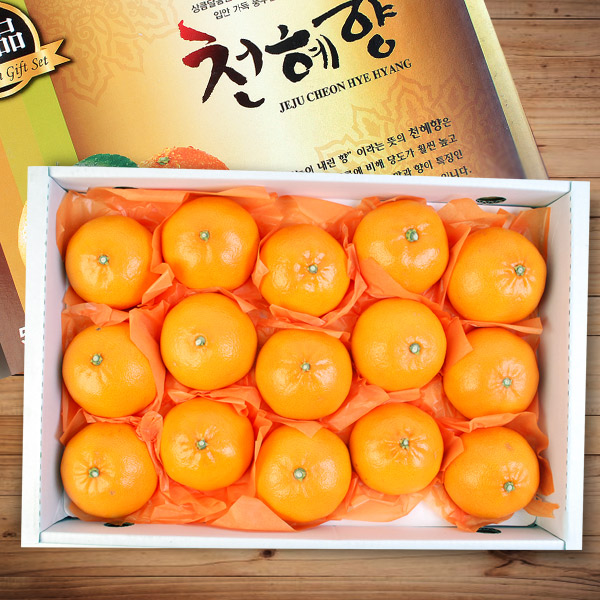 [名品]천혜향 선물세트 5kg(12~17과)
