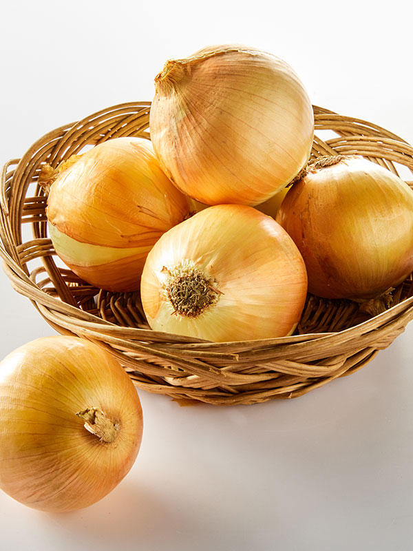 국내산 햇양파1.5kg(6개입)