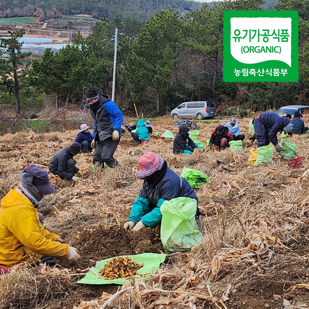 무농약 국산 100% 밥에 뿌려먹는 강황 가루