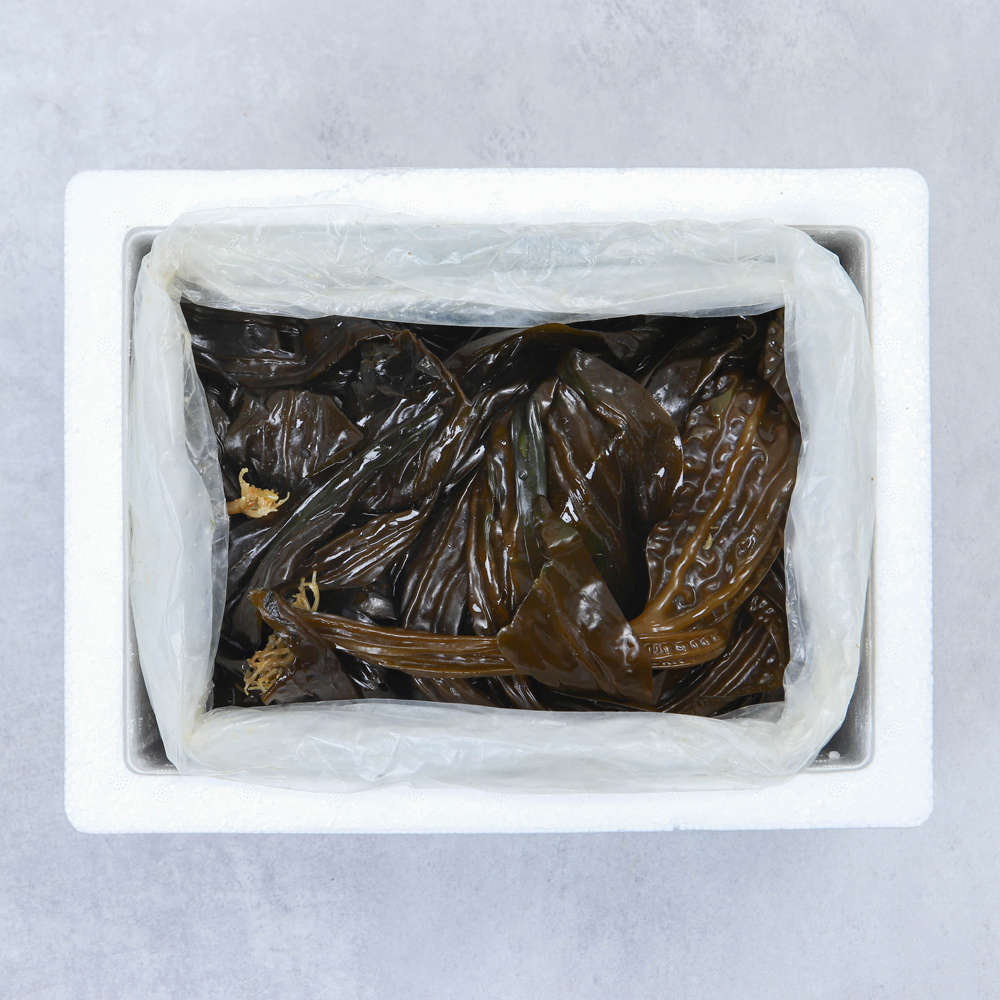 곰피 미역 쇠미역 생곰피 2kg