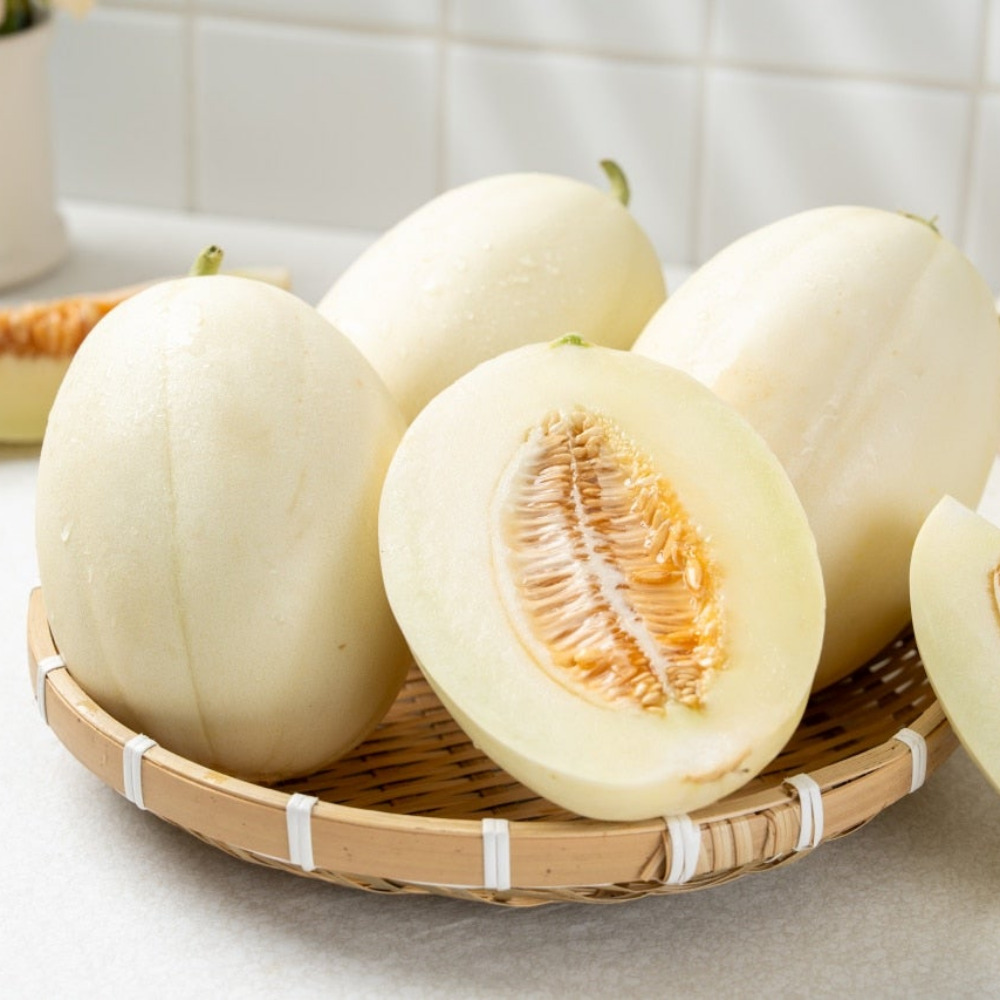 산지직송 고령 성산 설향멜론 2kg 3kg 5kg 백설메론 대표이미지 섬네일