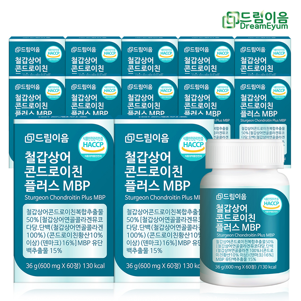 드림이음 철갑상어 콘드로이친 플러스 MBP 12개월분