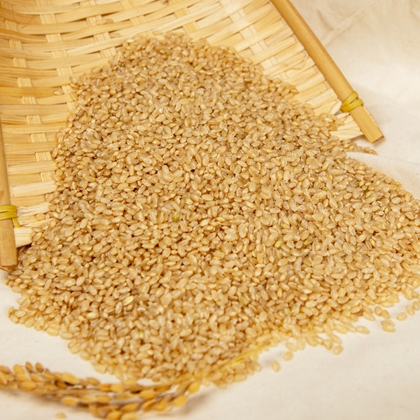 [참드림] 배송당일도정 쌀눈쌀 안동 참드림 5kg