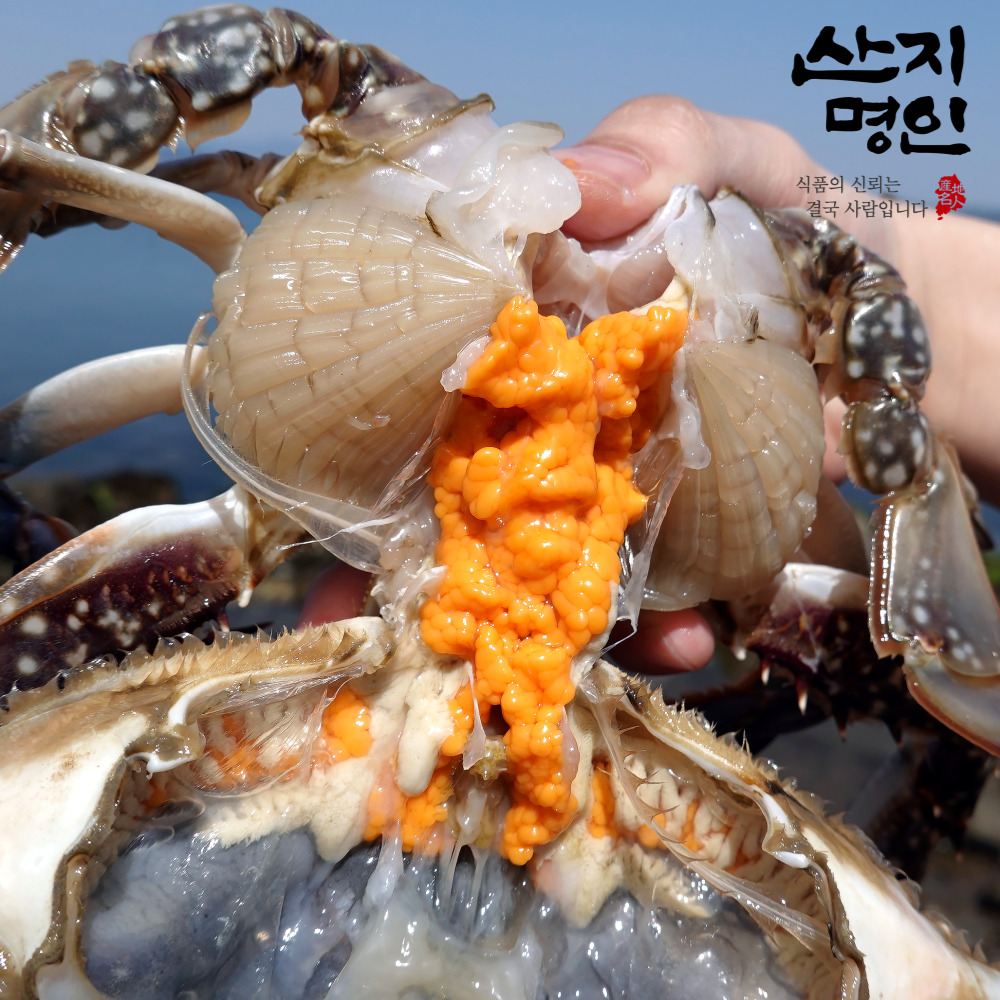 [산지명인] 태안 자연산 활꽃게 1kg 5미 내외 제철 암꽃게 대표이미지 섬네일