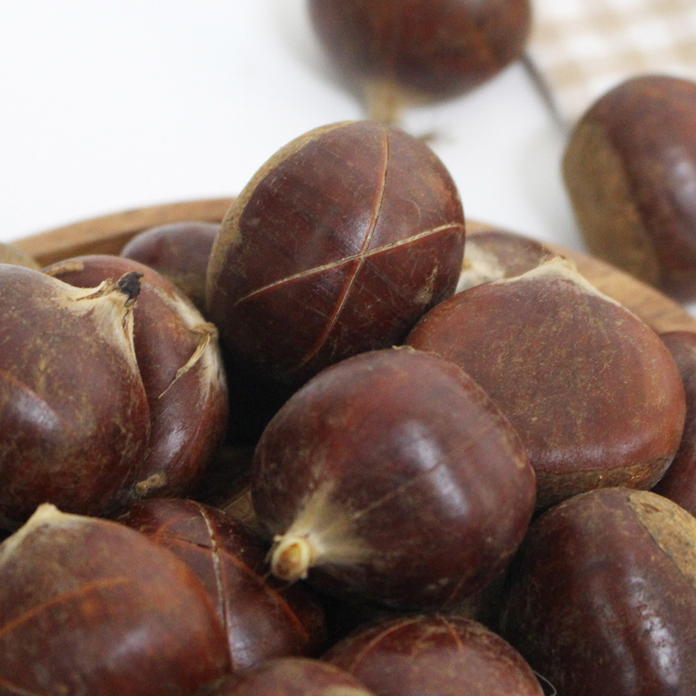 부여농부의 유기농 칼집 대보밤 1kg (대 / 중) 에어프라이어 군밤용 캠핑용밤 유기농밤 산밤 약밤 부여알밤 부여밤