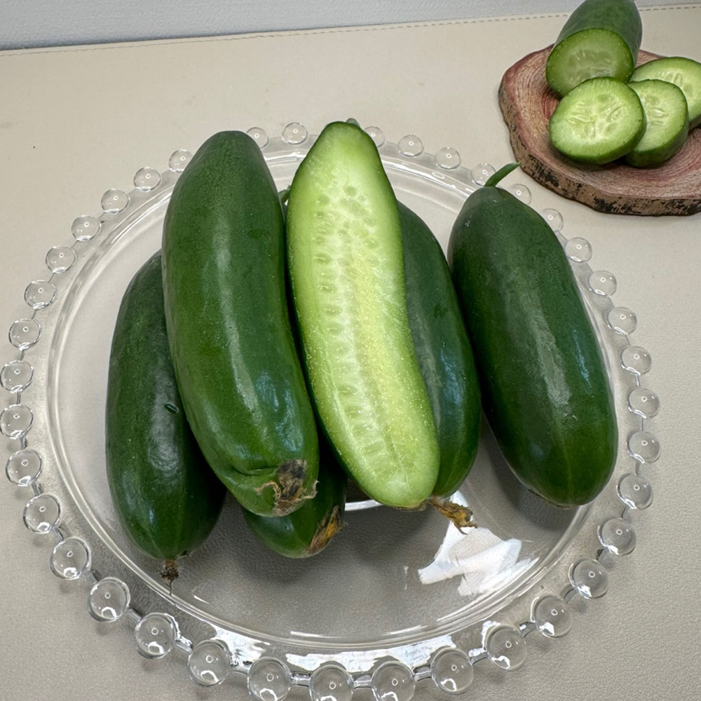국내산 피클 장아찌 생식용 미니 오이 500g-2kg