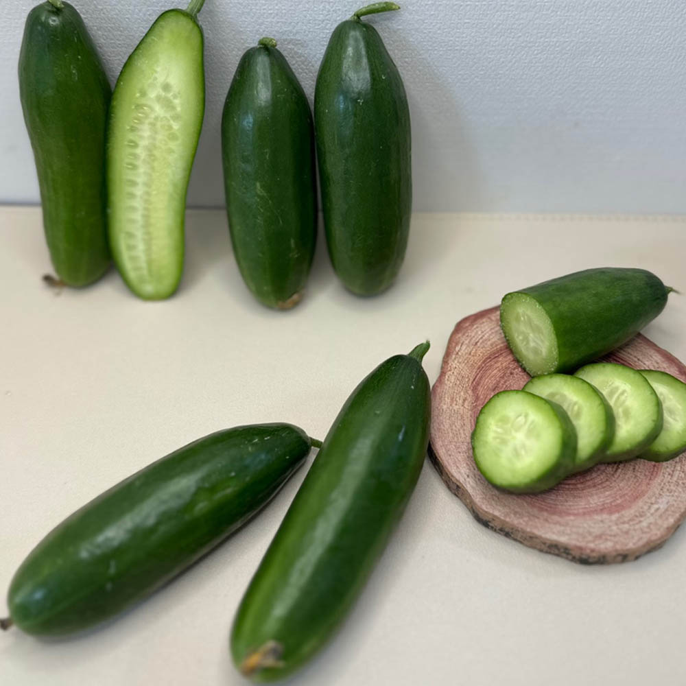 국내산 피클 장아찌 생식용 미니 오이 500g-2kg