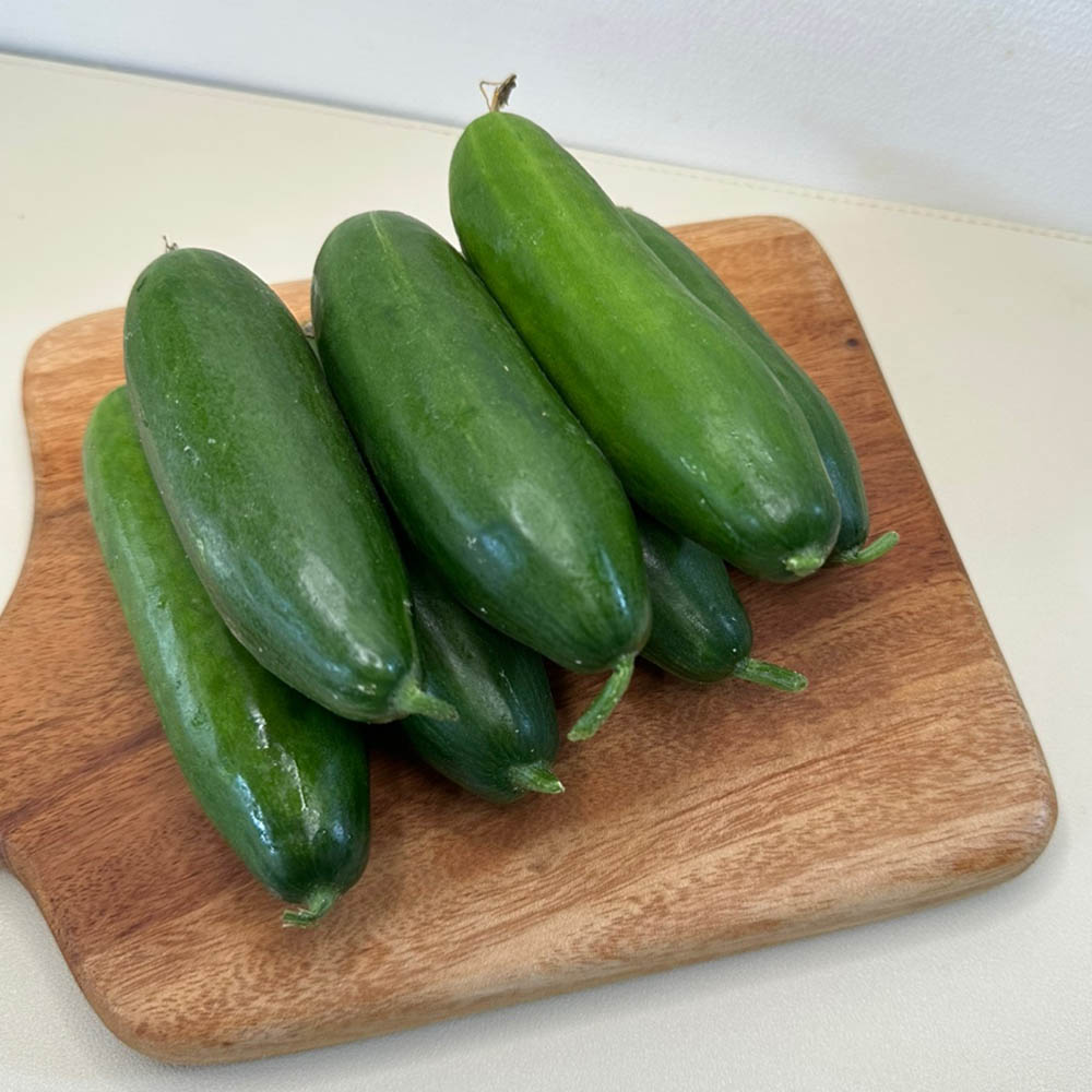 국내산 피클 장아찌 생식용 미니 오이 500g-2kg