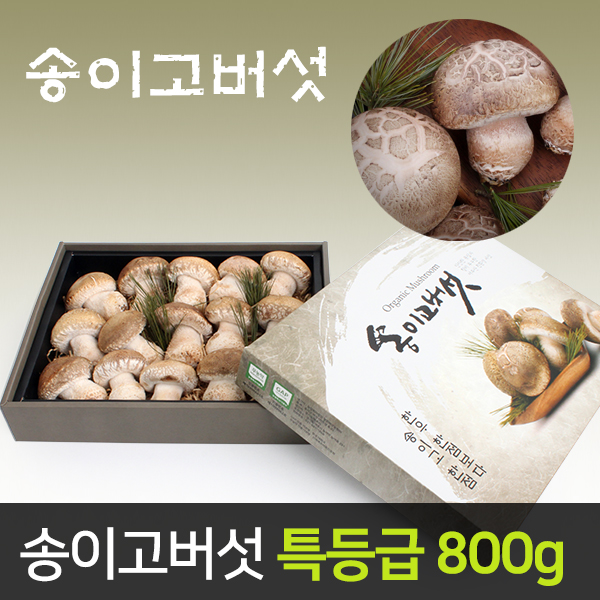 송이고버섯 특등급 프리미엄 선물세트 800g (당일수확/산지직송)