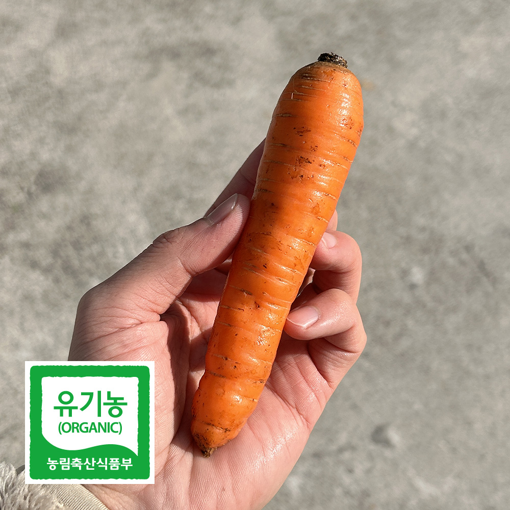 친환경 유기농 제주 당근 특 상 미니 못난이 2kg 3kg 국내산 채소 야채 흙당근