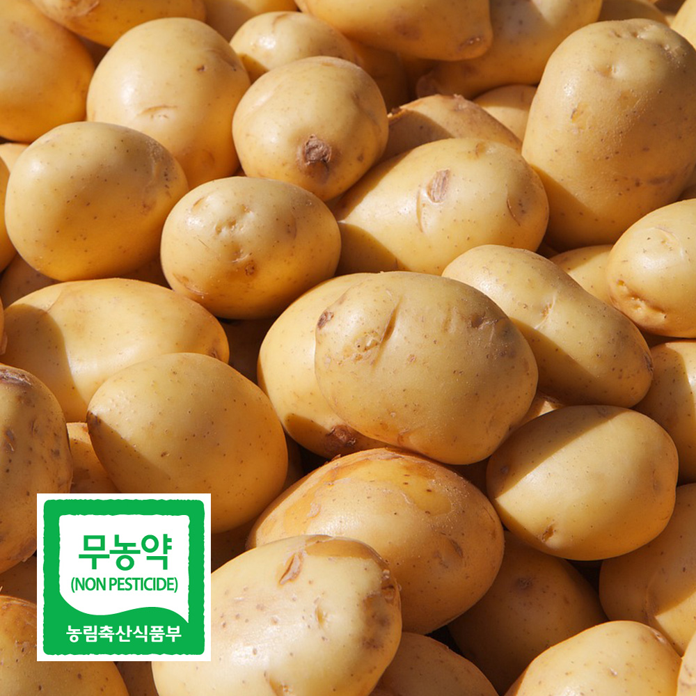 친환경 무농약 수미감자 2kg 3kg 국내산 포슬포슬 햇감자 전남 보성