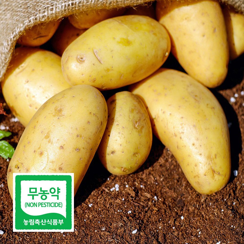친환경 무농약 수미감자 2kg 3kg 국내산 포슬포슬 햇감자 전남 보성