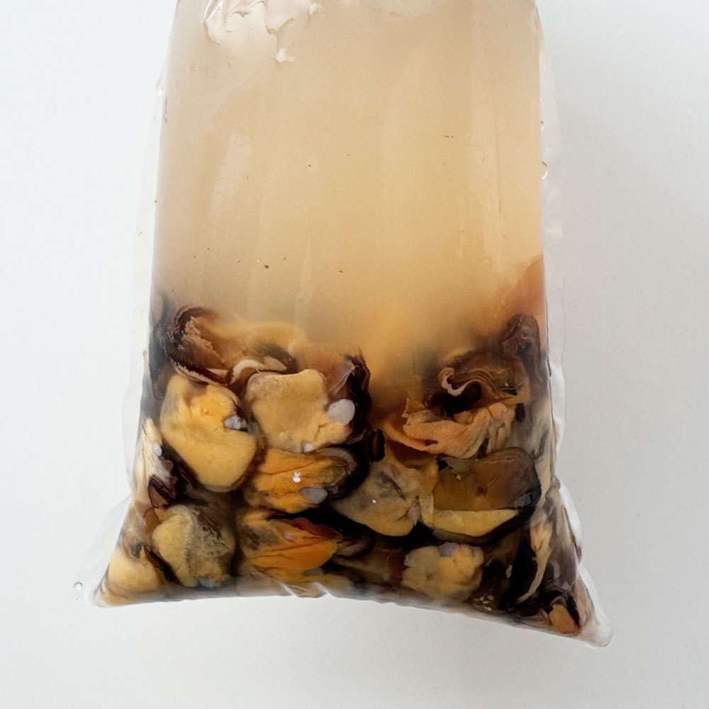 국내산 껍질제거 깐 홍합살 1kg