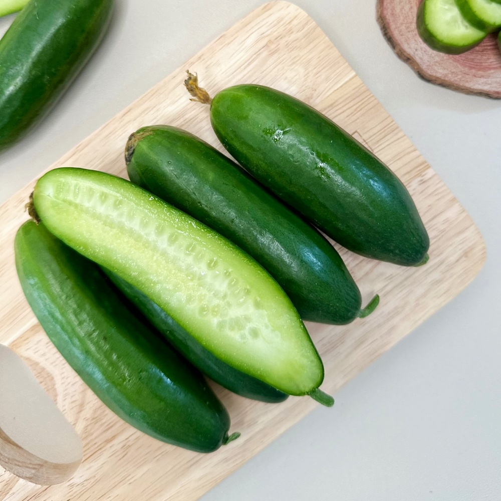 꼬마 미니오이 스낵오이 피클용 한입 다이어트 500g