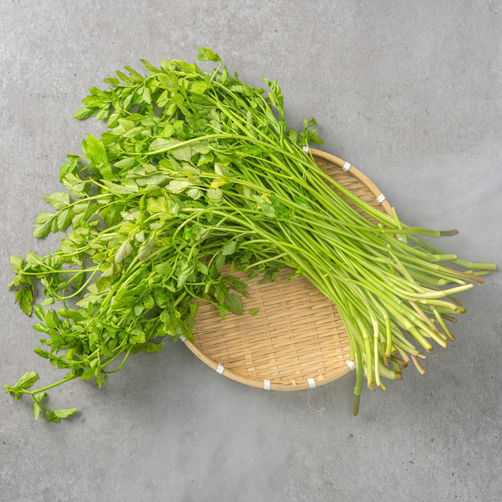 향긋한 제철 청도 미나리 500g 1kg 2kg 세척미나리