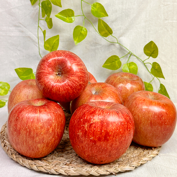 착한농부 꿀 부사 사과 2kg (14-16과)