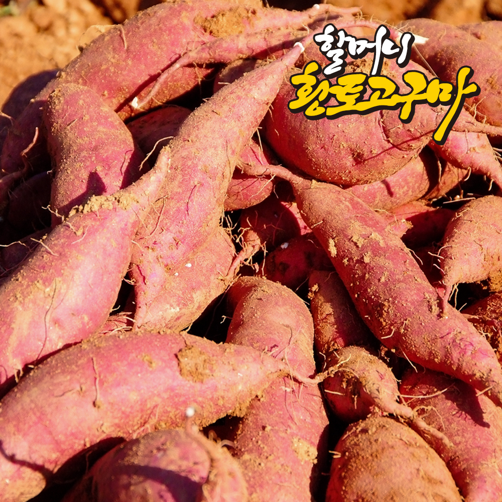 [할머니고구마] 무안 꿀 고구마 베니하루카 특상 3kg ~ 10kg