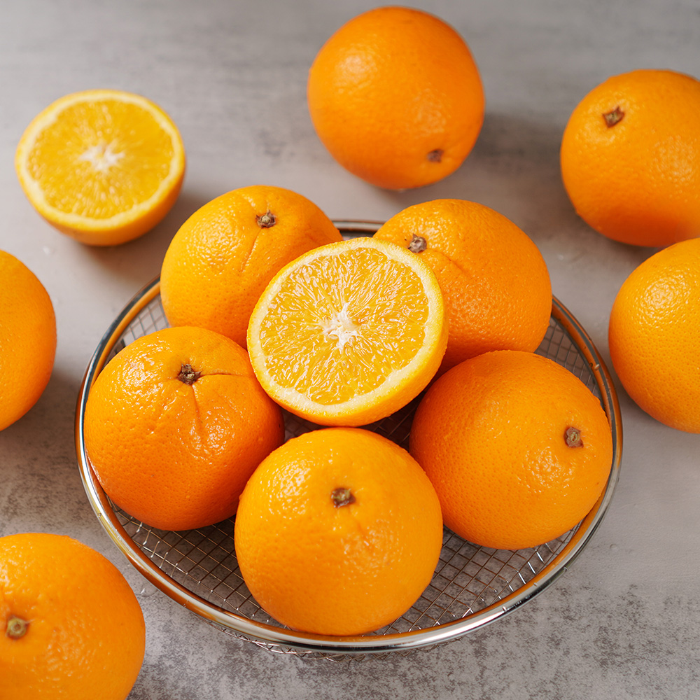 [오커늘푸] 따봉 오렌지 퓨어스펙 5과 10과