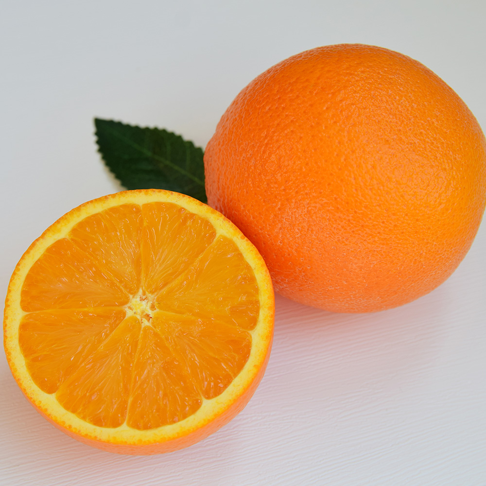 [오커늘푸] 따봉 오렌지 퓨어스펙 5과 10과