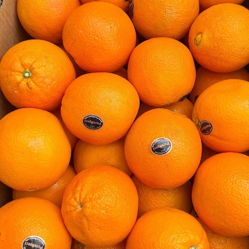 [오커늘푸] 따봉 오렌지 퓨어스펙 5과 10과