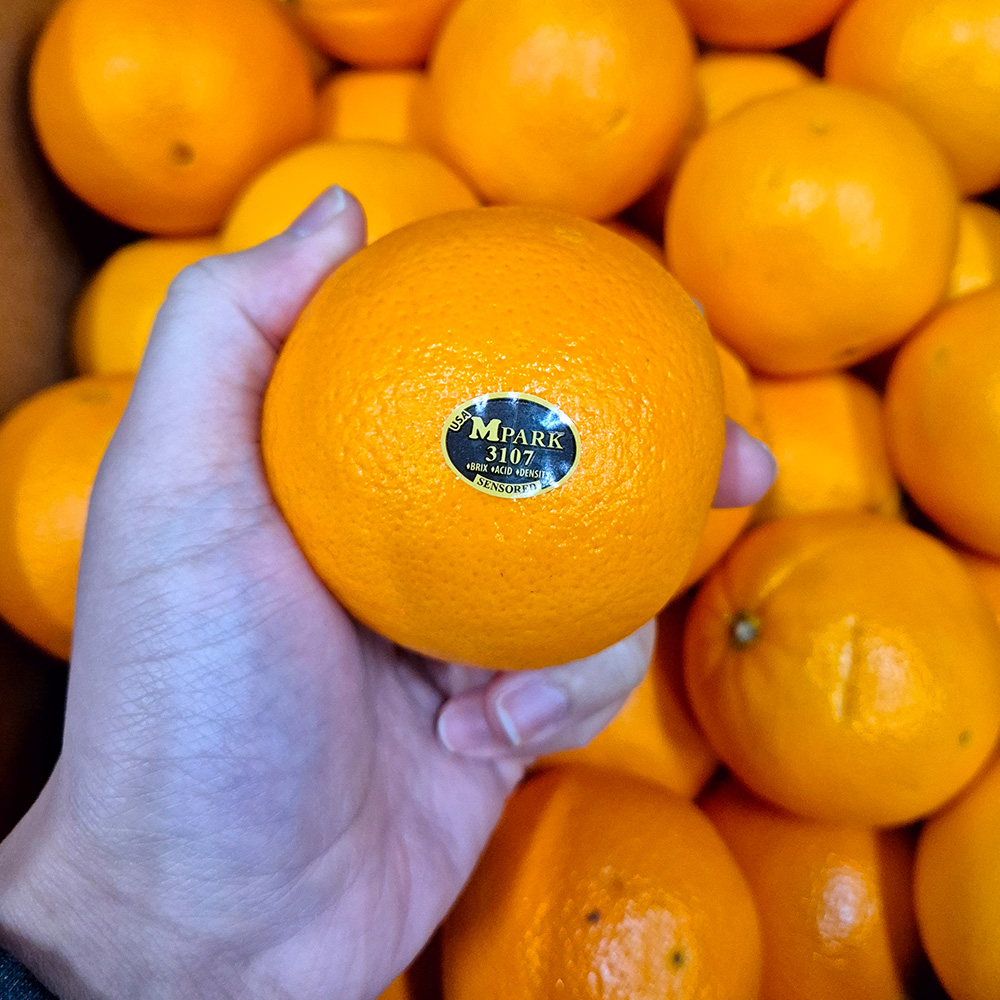 [오커늘푸] 따봉 오렌지 퓨어스펙 5과 10과