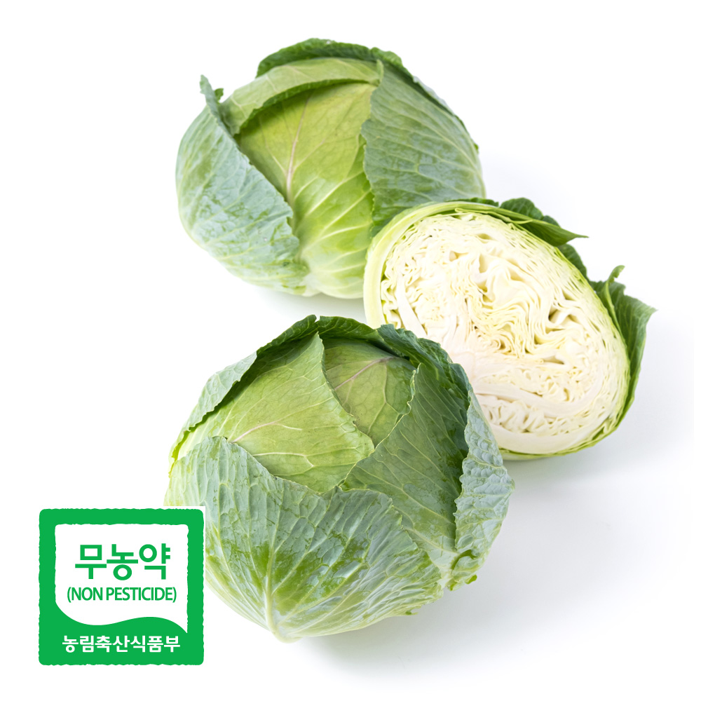 친환경 무농약 양배추 2kg 3kg 국내산 아삭아삭 매일이 가벼워지는 한 끼