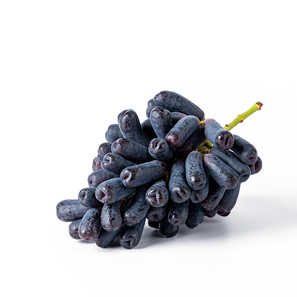 [오커최고] 블랙 사파이어 포도