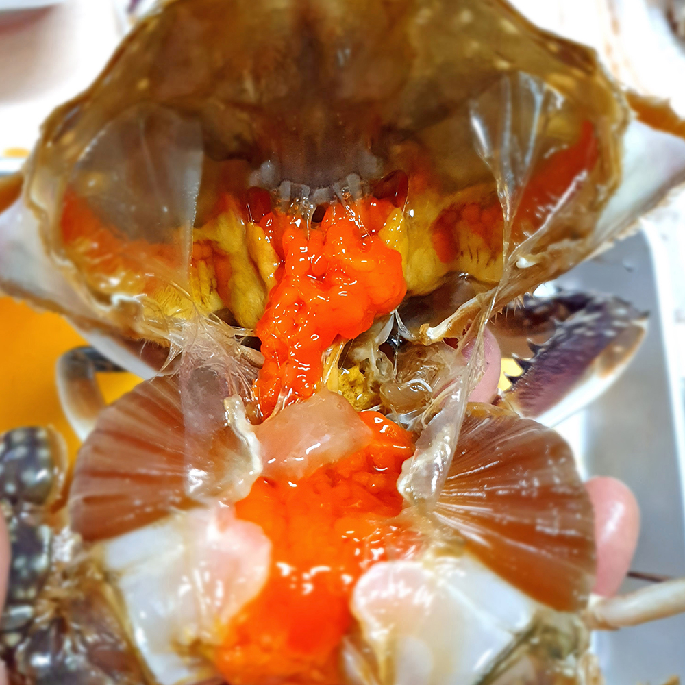 연평도 산지직송 제철 암꽃게 숫꽃게 1Kg 활 꽃게 신선급냉