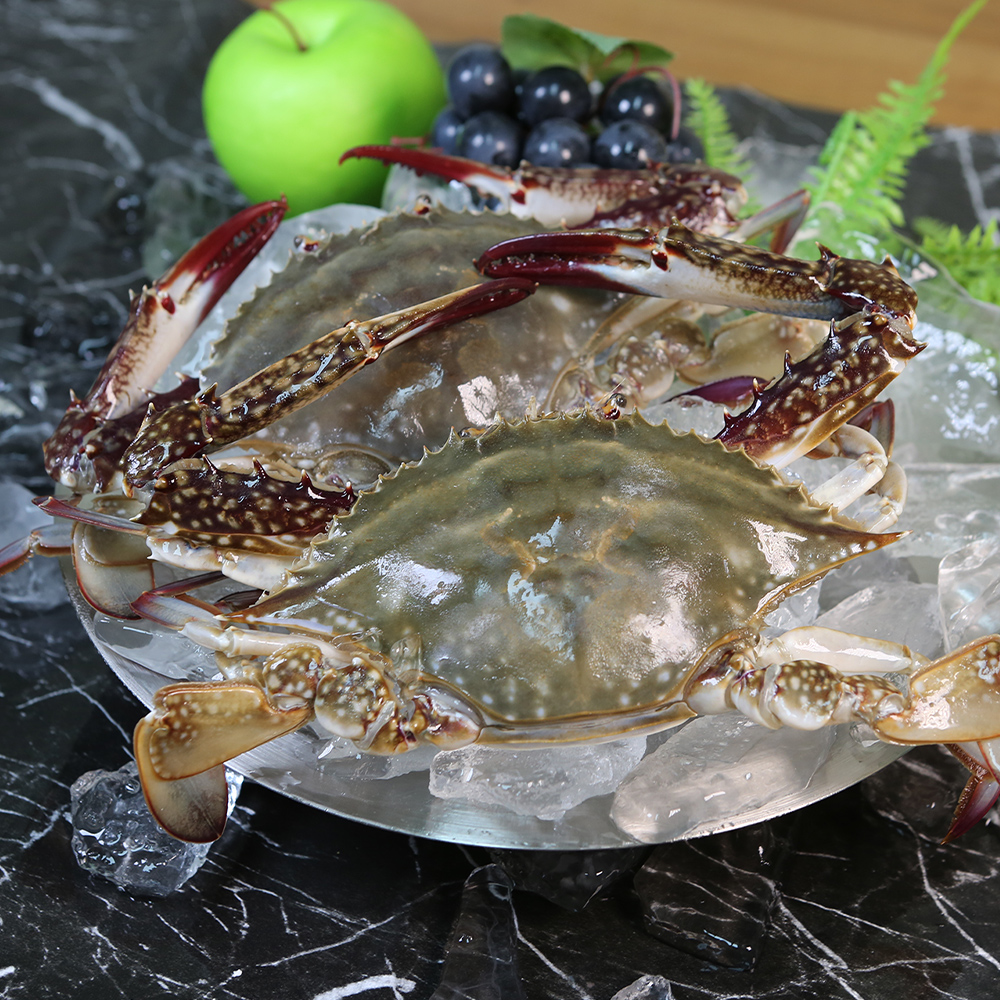 연평도 산지직송 제철 암꽃게 숫꽃게 1Kg 활 꽃게 신선급냉