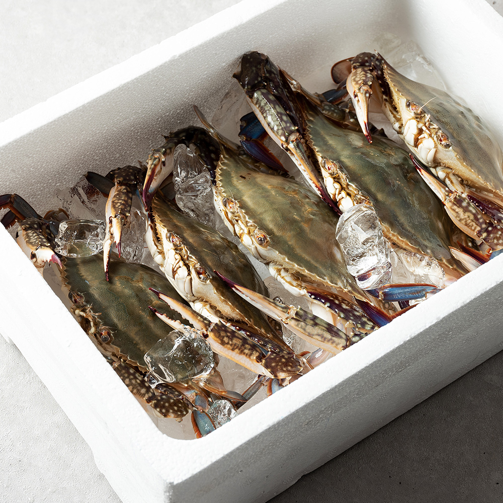 연평도 산지직송 제철 암꽃게 숫꽃게 1Kg 활 꽃게 신선급냉 대표이미지 섬네일