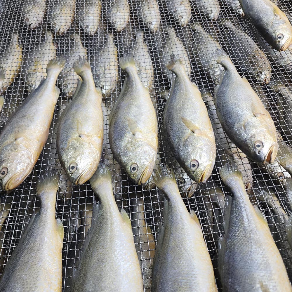 반건조 부세굴비 1마리당 29cm 내외 5미