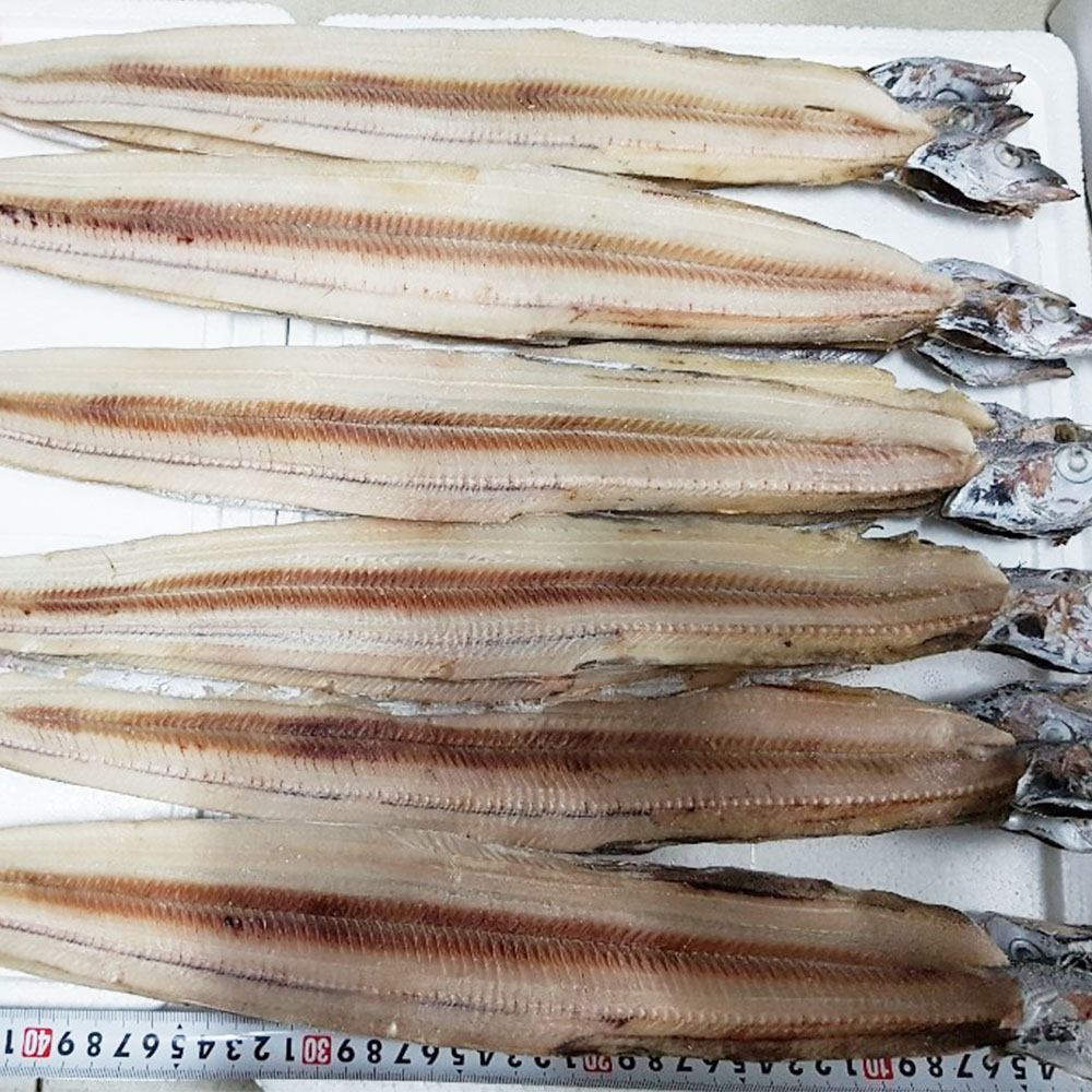 반건조 갈치 풀치 건갈치 1kg 9미