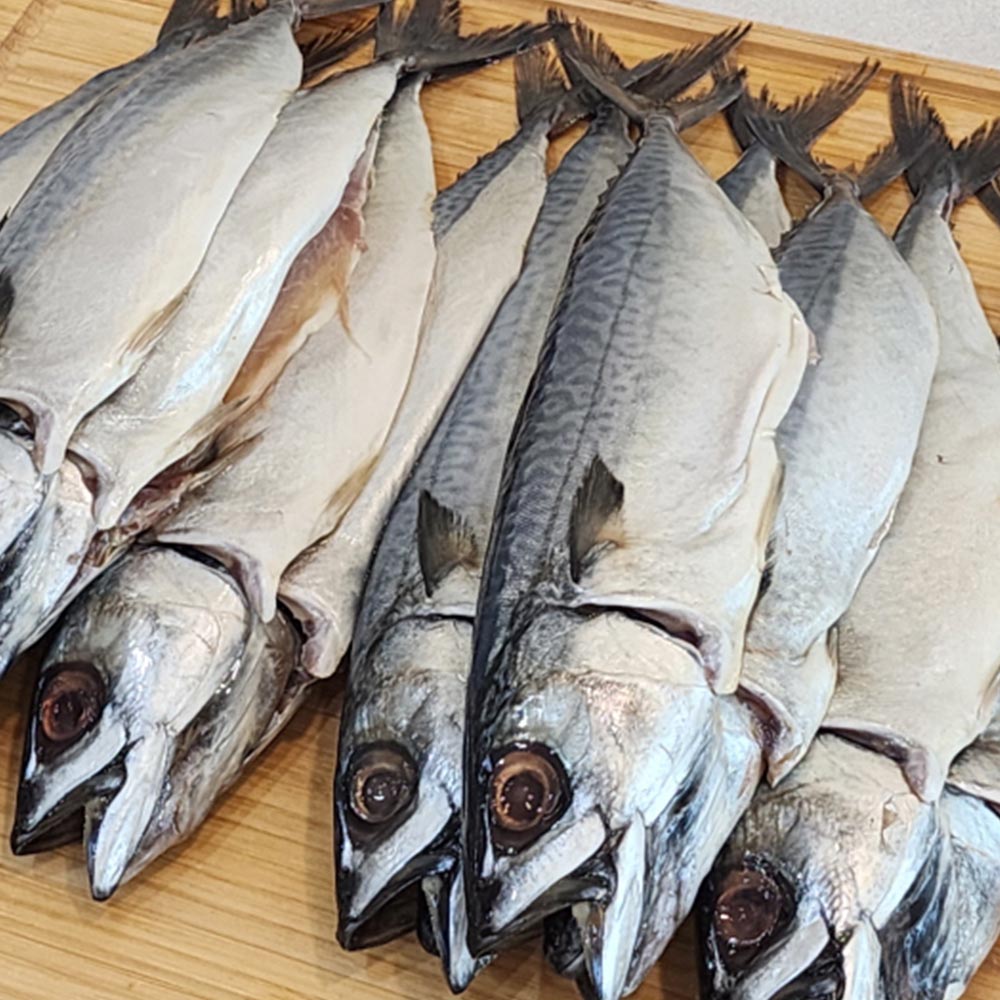 국내산 자반 고등어 1마리당 150-200g 내외 12미