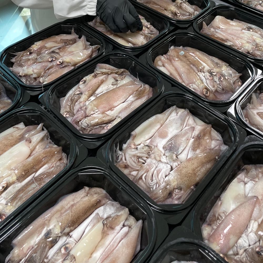 원양산 급냉 총알 한치 500g 12-23미